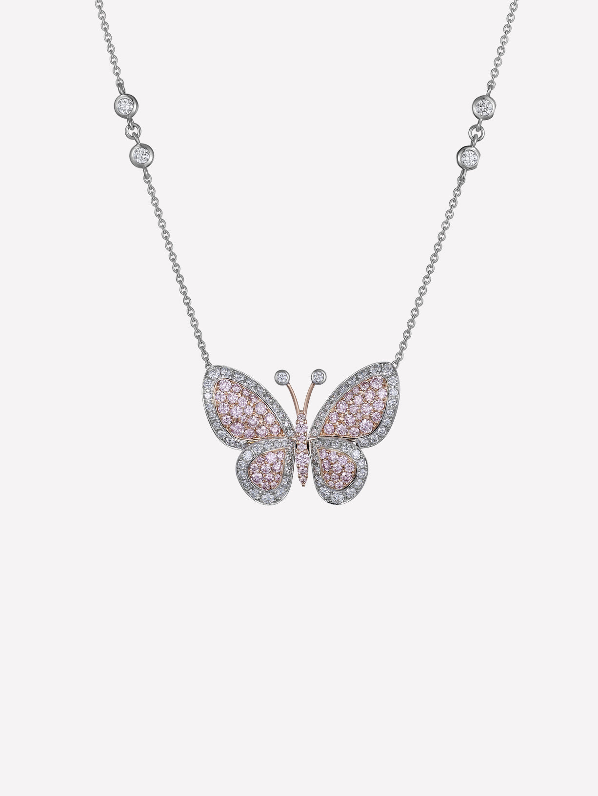 Argyle Pink™ Butterfly