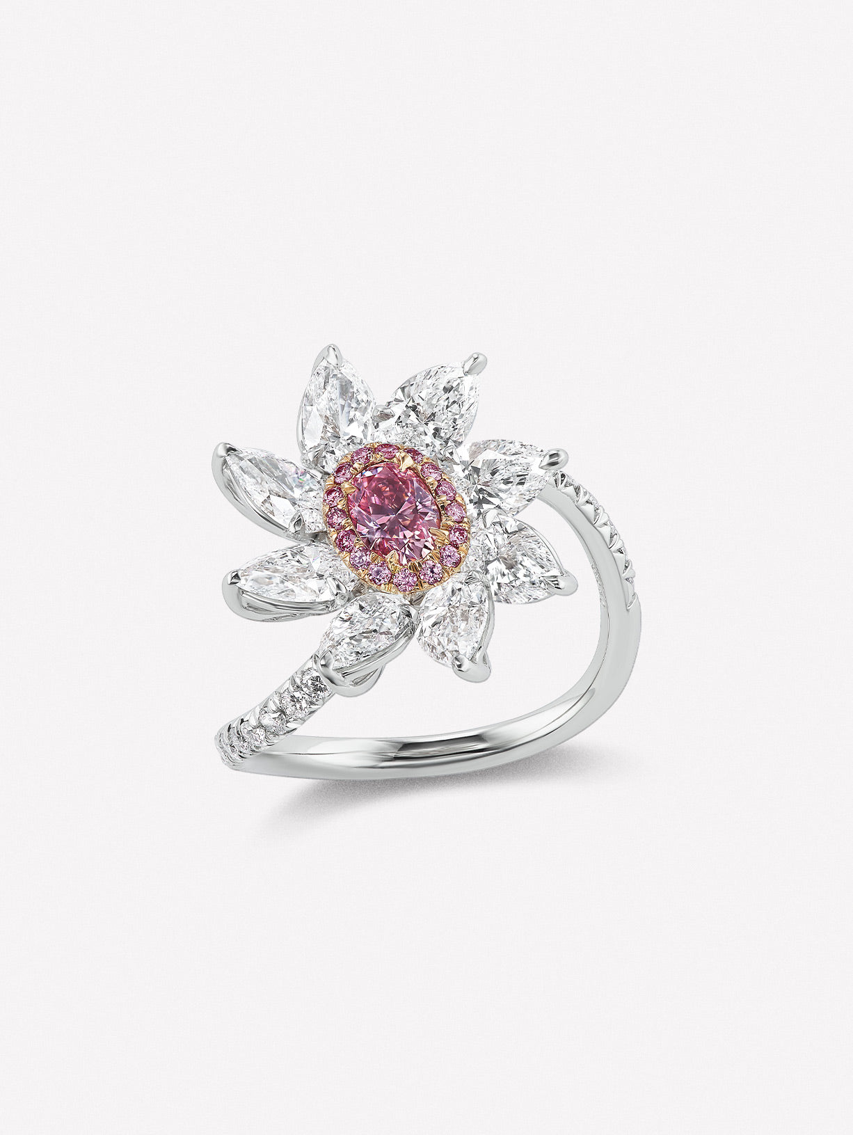 Intense Pink Diamond Floral Ring - Pink Diamonds, J FINE - J Fine, Rings - Pink Diamond Jewelry, argyle-pink™-diamond-floral-ring-by-j-fine - Argyle Pink Diamonds